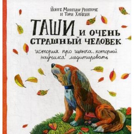 Сказки зарубежных писателей, книга Таши и Очень Страшный Человек. История про щенка, который научился медитировать купить по скидке