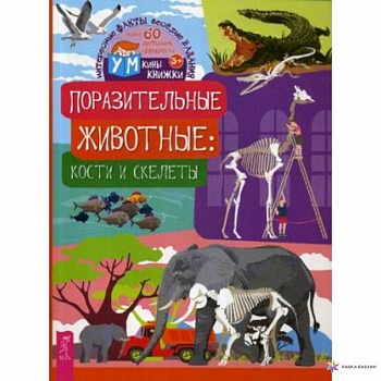 Поразительные животные. Кости и скелеты