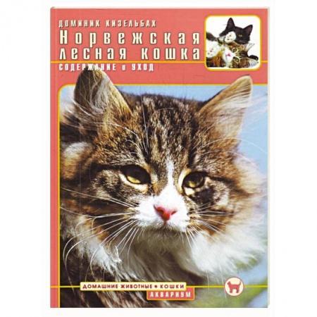 Книги, книга Норвежская лесная кошка. Содержание и уход купить по скидке