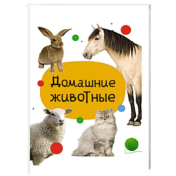 Домашние животные Домашние животные