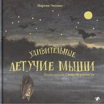 Удивительные летучие мыши Удивительные летучие мыши