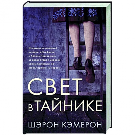 Исторический роман, книга Свет в тайнике купить по скидке