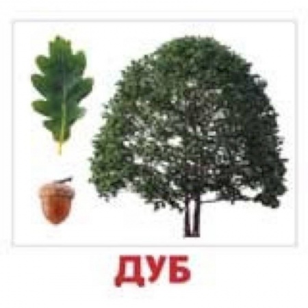 Игры на любой вкус, книга Комплект карточек 'Деревья' купить по скидке