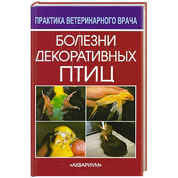 Болезни декоративных птиц
