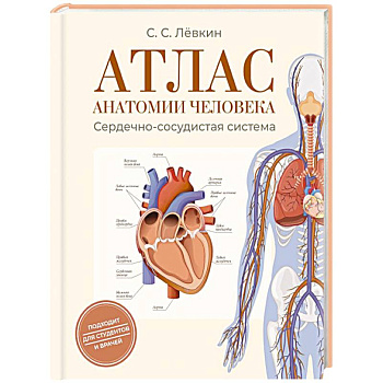 Атлас анатомии человека. Сердечно-сосудистая система Атлас анатомии человека. Сердечно-сосудистая система