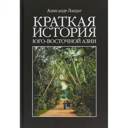 Другие страны Азии и Африки, книга Краткая история Юго-Восточной Азии купить по скидке