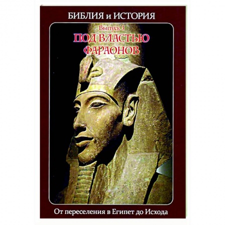 Религиоведение. История религий, книга Библия и история. Вып. 3. Под властью фараонов. От переселения в Египет до Исхода купить по скидке