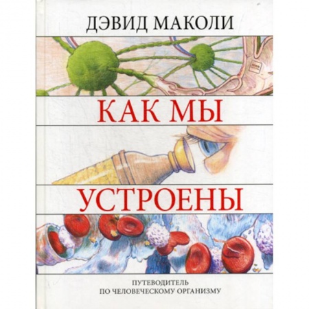 Познавательная литература, книга Как мы устроены купить по скидке