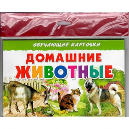 Животный и растительный мир, книга Домашние животные купить по скидке