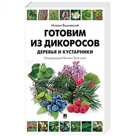Кулинария, книга Готовим из дикоросов.Деревья и кустарники купить по скидке