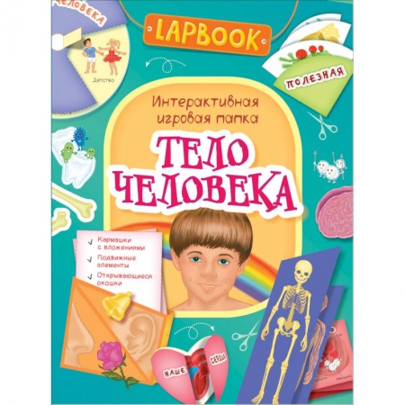 Книжки-раскладушки, панорамки, книга Тело человека.Интерактивная игровая папка купить по скидке