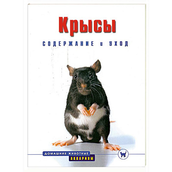 Крысы. Содержание и уход