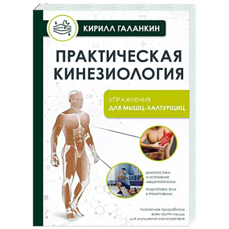 Авторские методики, книга Практическая кинезиология. Упражнения для мышц-халтурщиц купить по скидке