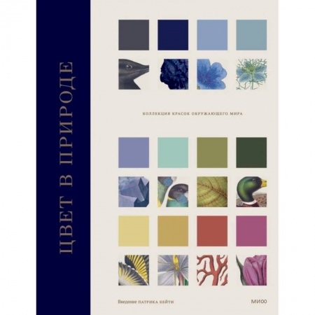 Живопись, книга Цвет в природе. Коллекция красок окружающего мира купить по скидке