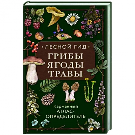 Грибы. Справочники. Определители, книга Лесной гид: грибы, ягоды, травы. Карманный атлас-определитель купить по скидке