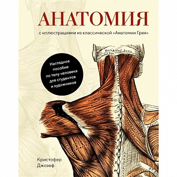 Анатомия:с иллюстрациями из классической 'Анатомии Грея' Анатомия:с иллюстрациями из классической 'Анатомии Грея'