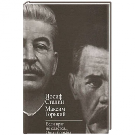 Мемуары, биографии, книга «Если враг не сдается». Опыт борьбы с «5 колонной» купить по скидке