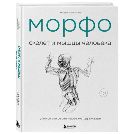 Портрет. Фигура человека, книга МОРФО. Скелет и мышцы человека. Анатомия для художников купить по скидке