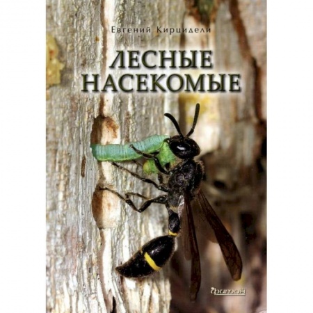 Зоология, книга Лесные насекомые купить по скидке
