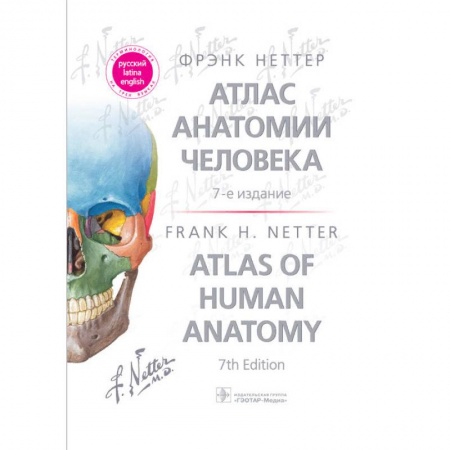 Биологические науки, книга Атлас анатомии человека: терминология на русском, латинском и английском языках купить по скидке