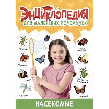Насекомые Насекомые