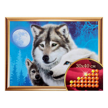 Алмазная вышивка с частичным заполнением «Волки», 30 x 40 см. Набор для творчества