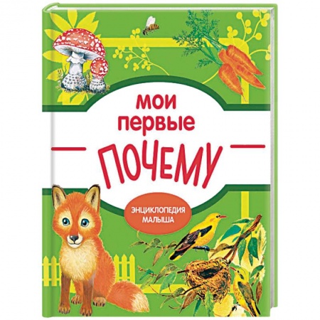 Знакомство с миром, развитие малыша, книга Мои первые ПОЧЕМУ? купить по скидке