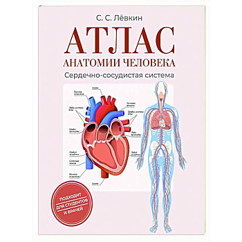 Атлас анатомии человека. Сердечно-сосудистая система Атлас анатомии человека. Сердечно-сосудистая система