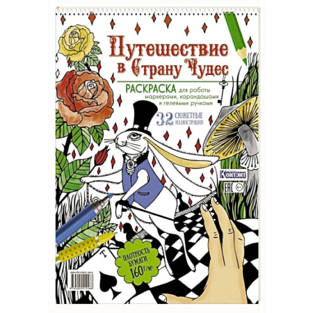 Герои зарубежных мультфильмов, книга Путешествие в Страну чудес. Раскраска купить по скидке