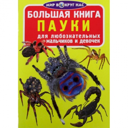 Животный и растительный мир, книга Большая книга. Пауки купить по скидке