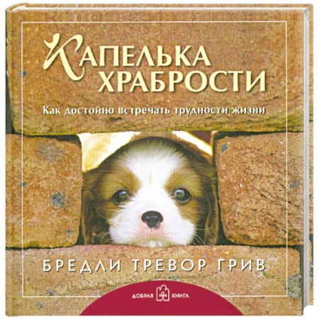 Книги, книга Капелька храбрости. Как достойно встречать трудности жизни купить по скидке