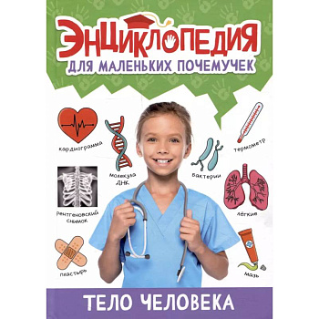 Тело человека Тело человека
