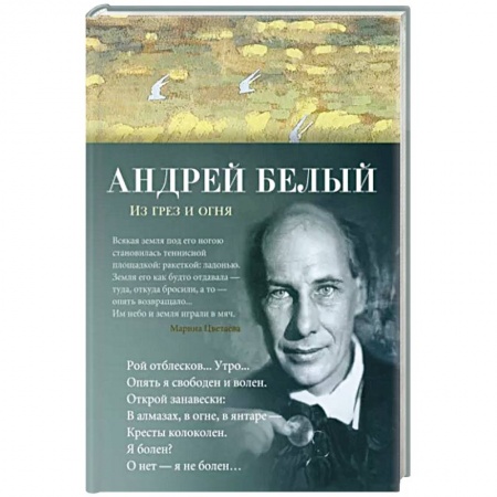 Русская поэзия, книга Из грез и огня купить по скидке