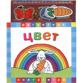 Цвет. Магнитная книга-игра Цвет. Магнитная книга-игра