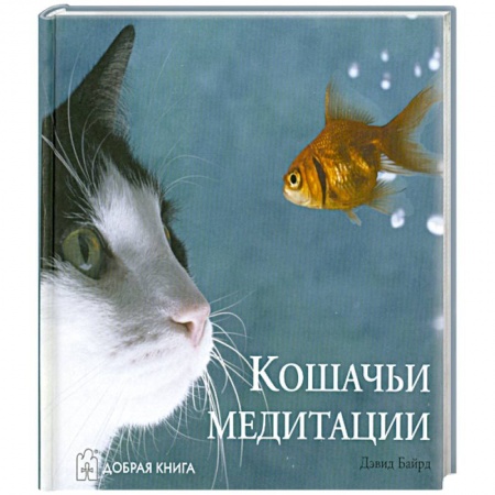 Книги, книга Кошачьи медитации купить по скидке