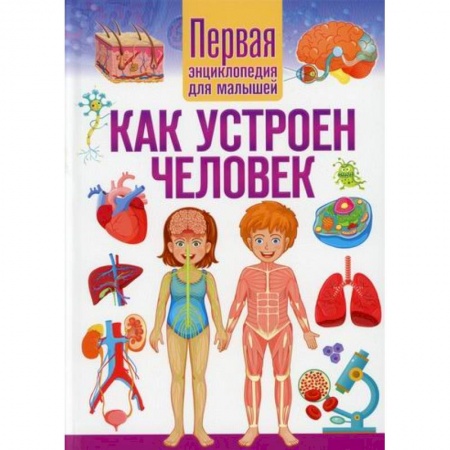 Человек. Земля. Вселенная, книга Как устроен человек купить по скидке