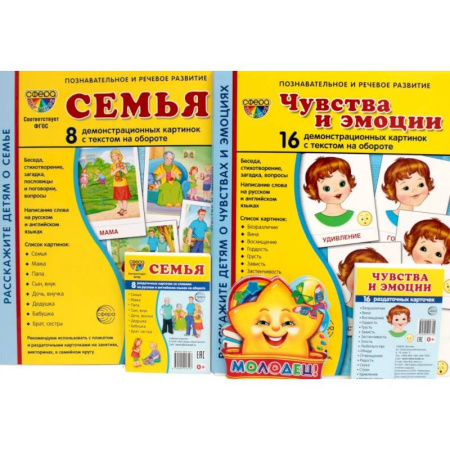 Развитие общих способностей, книга Семья, чувства и эмоции (комплект из 4-х наборов карточек + поощрительные звездочки) купить по скидке