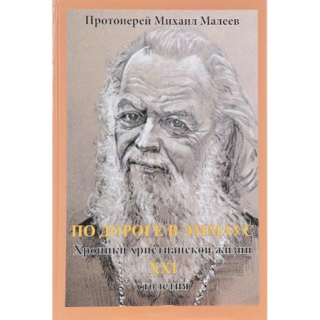 Православие и общество, книга По дороге в Эммаус. Хроники христианской жизни 21 столетия купить по скидке
