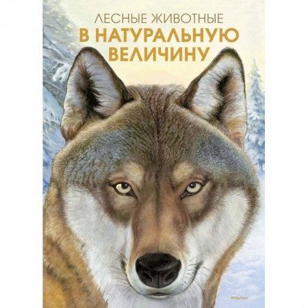 Животный и растительный мир, книга Лесные жители в натуральную величину купить по скидке