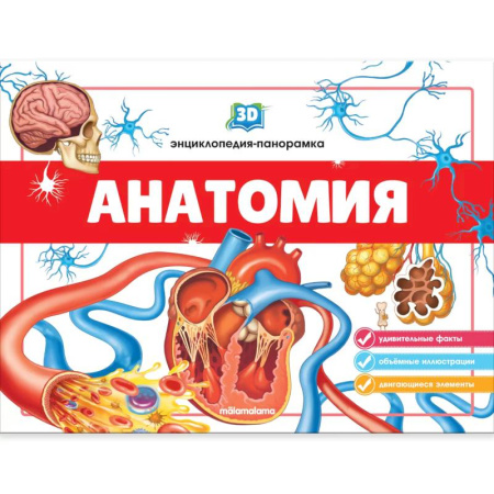 Книжки-раскладушки, панорамки, книга Анатомия. 3D-энциклопедия-панорамка купить по скидке