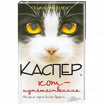 Каспер, кот-путешественник