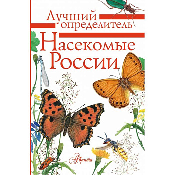 Насекомые России Насекомые России