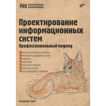 Проектирование информационных систем. Профессиональный подход