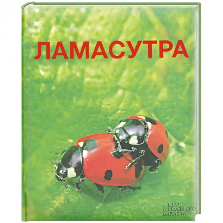 Книги, книга Ламасутра купить по скидке