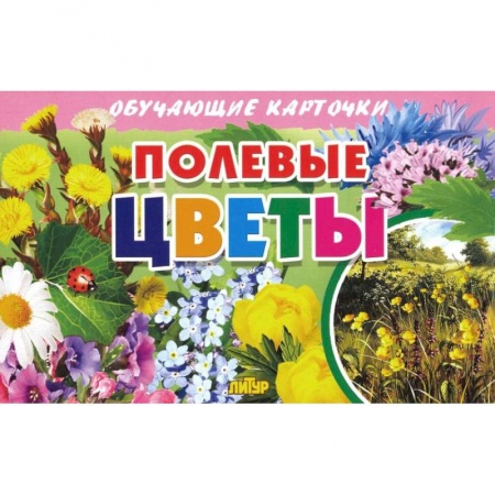 Познавательная литература, книга Карточки. Полевые цветы  купить по скидке