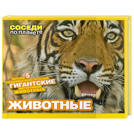 Книги, книга Животные. Внутри 5 объемных конструкций. Гигантские фотографии животных. купить по скидке