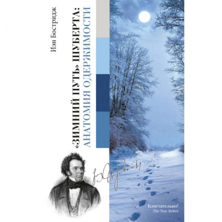 Музыка, книга Зимний путь Шуберта: анатомия одержимости купить по скидке