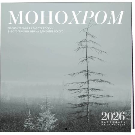 Монохром. Пронзительная красота России в фотографиях Ивана Дементиевского. Календарь настенный на 16 месяцев на 2026 год (300х300 мм)