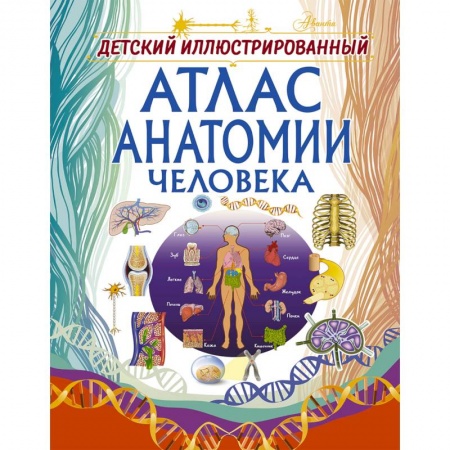 Все обо всем. Универсальные энциклопедии, книга Детский иллюстрированный атлас анатомии человека купить по скидке