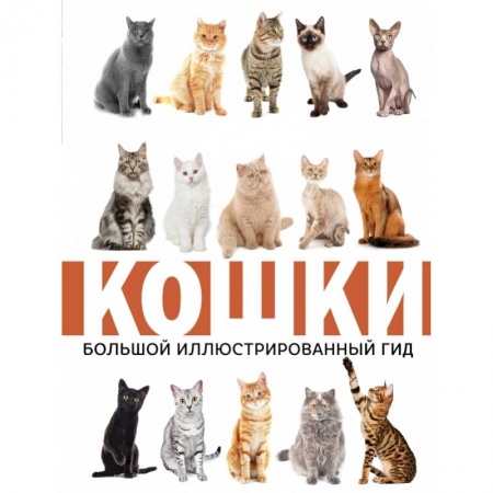 Кошки, книга Кошки купить по скидке